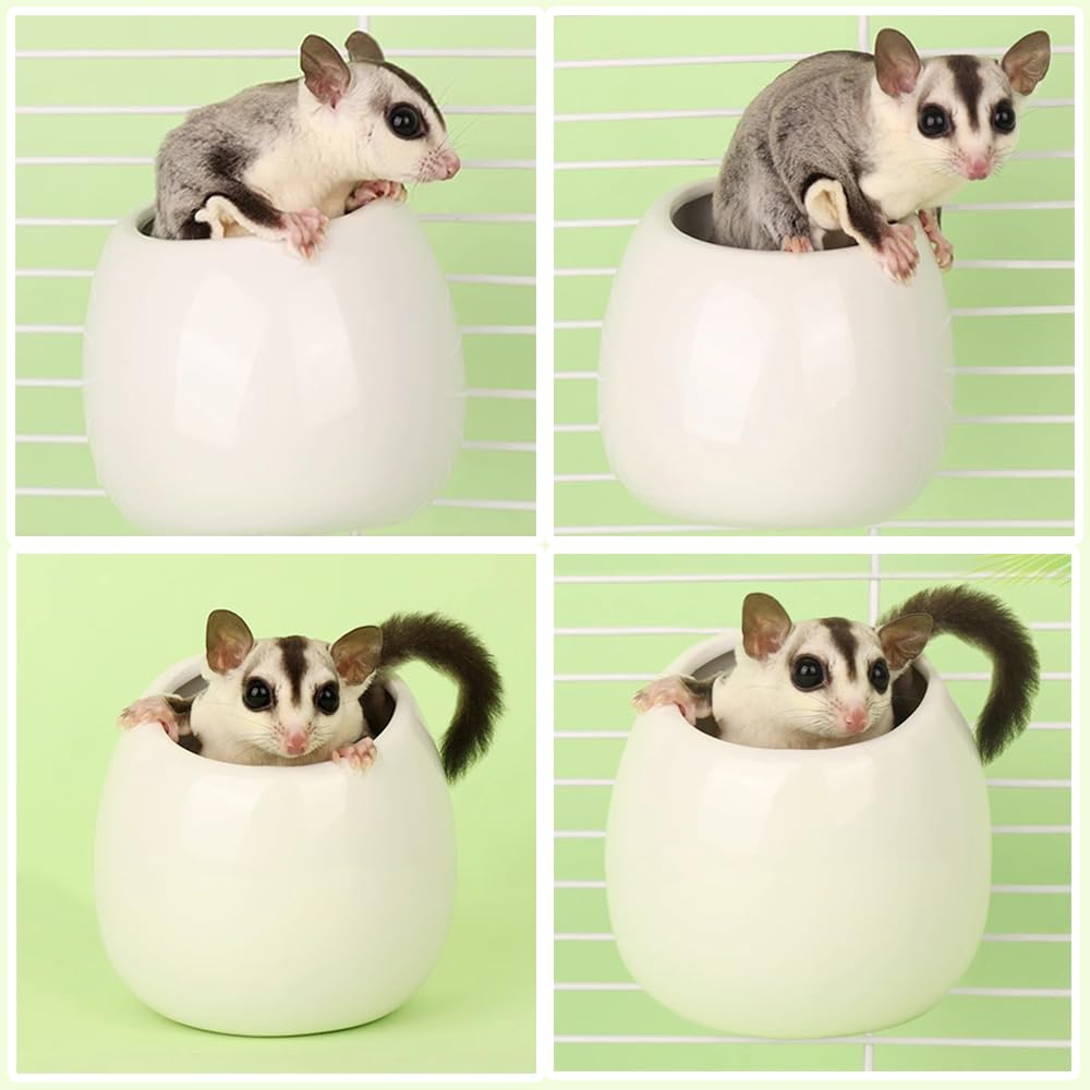 Amazon | ハムスター ハウス モモンガ 巣 小動物 家 隠れ家 寝床 陶器